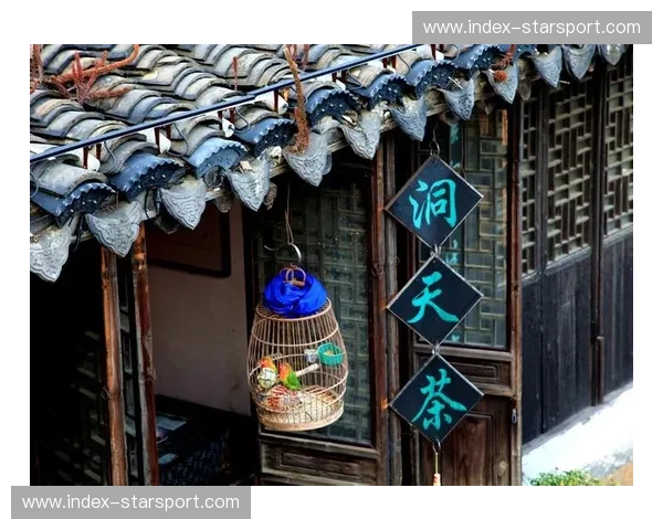 欧洲杯2029回放：传奇重燃，瞬间与永恒的碰撞